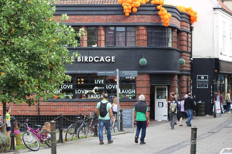 The Birdcage Turns 10