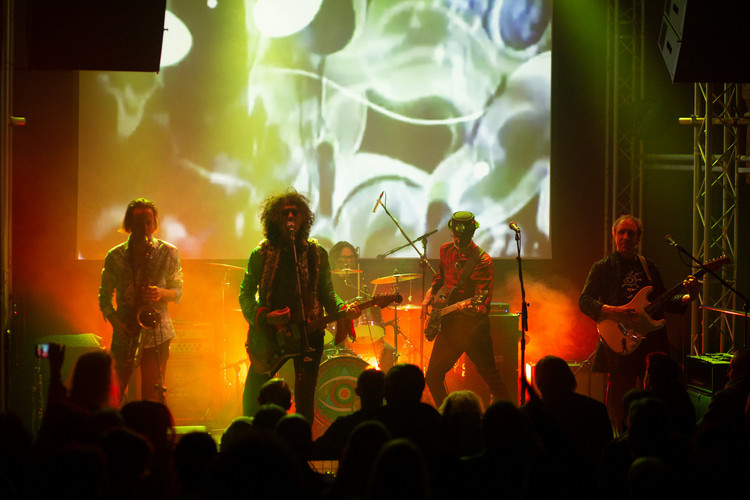 Gong + Snorkel Gong + Snorkel