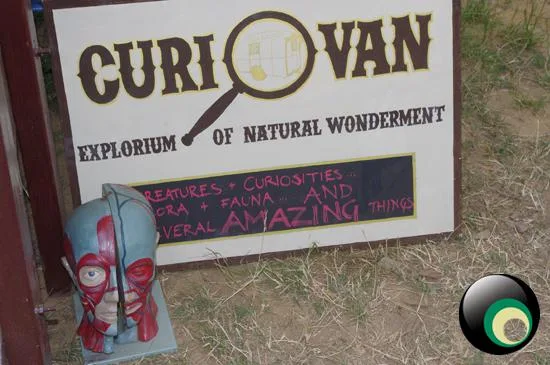 Latitude Festival 2013 // Part 1