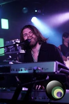 Guillemots