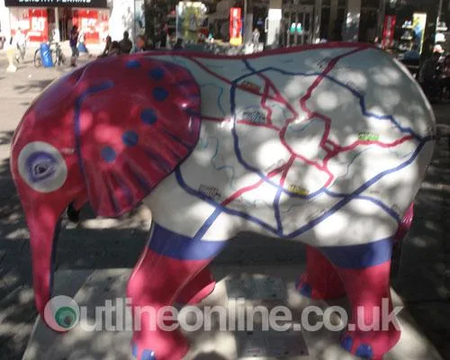 Go Elephants!