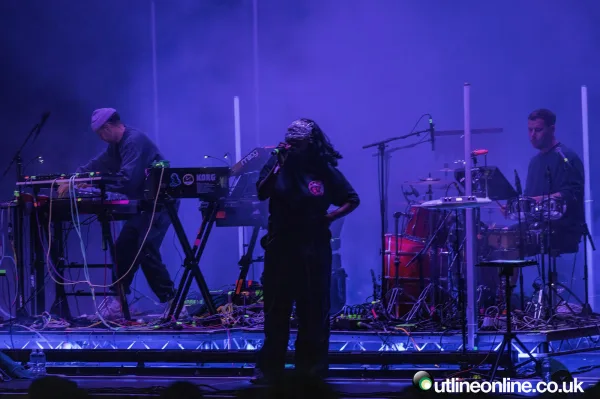 Wild Fields Festival 2024 Day 2