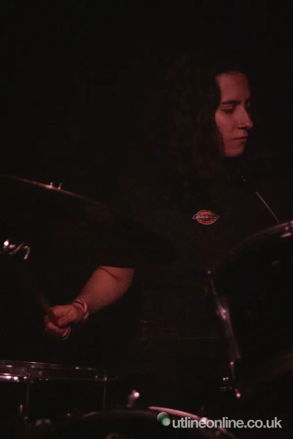 Heavy Wild