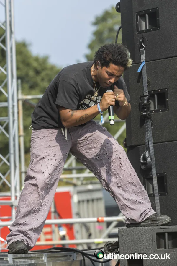 Wild Fields Festival 2024 Day 2