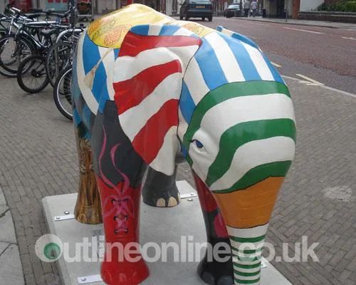 Go Elephants!