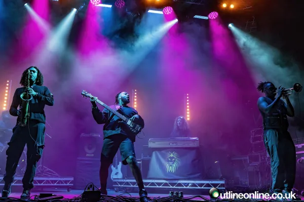 Wild Fields Festival 2024 Day 1