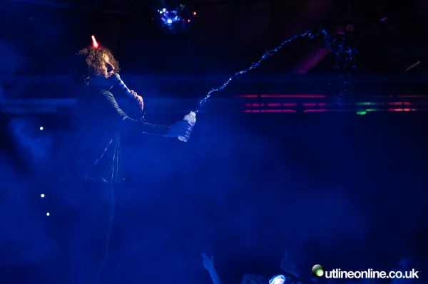 The Pigeon Detectives