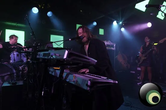 Guillemots