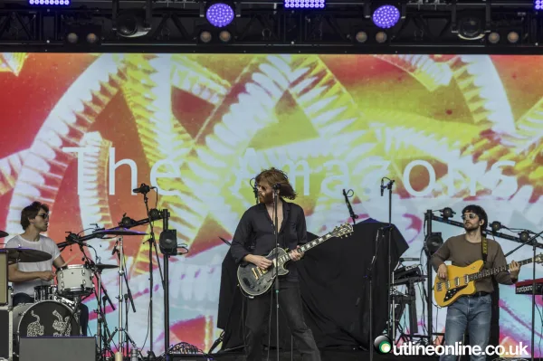 The Wombats