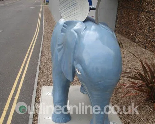 Go Elephants!