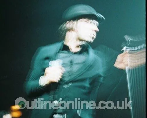 Maximo Park