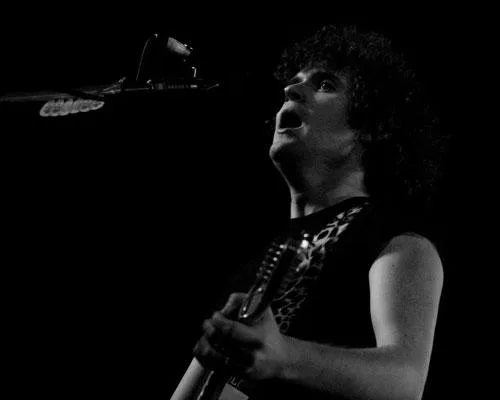 The Fratellis