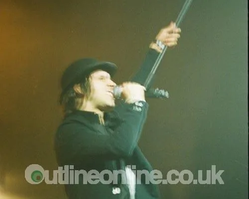 Maximo Park