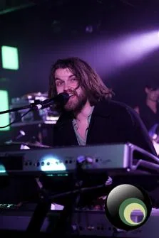Guillemots