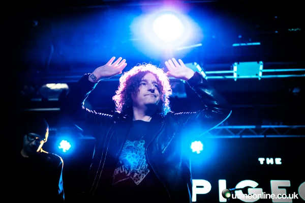 The Pigeon Detectives