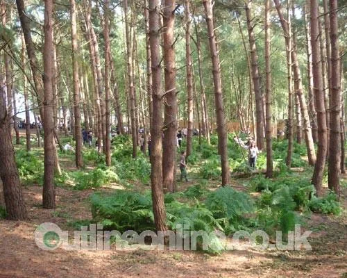 Latitude Part 1
