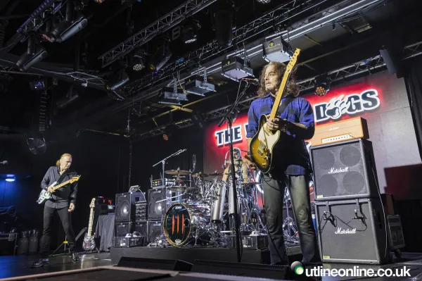 The Winery Dogs