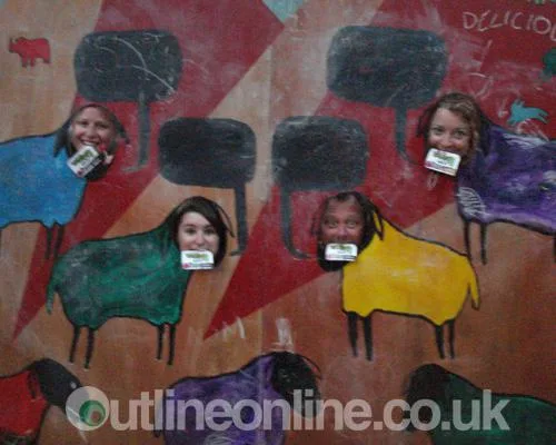 Latitude Fest pt 1