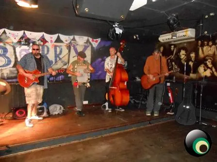 The Hedge Monkeys Skiffle Troupe