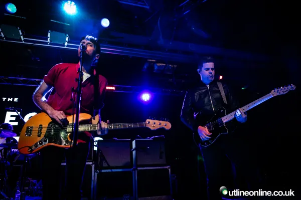 The Pigeon Detectives