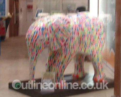 Go Elephants!