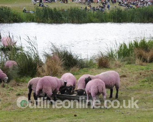 Latitude 2008 3a