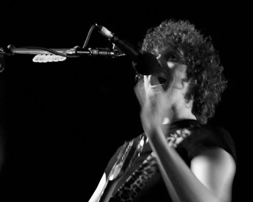 The Fratellis