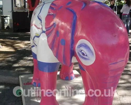 Go Elephants!
