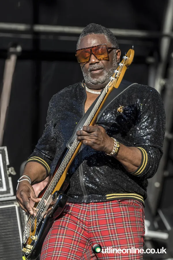 Nile Rodgers & Chic- Forest Live
