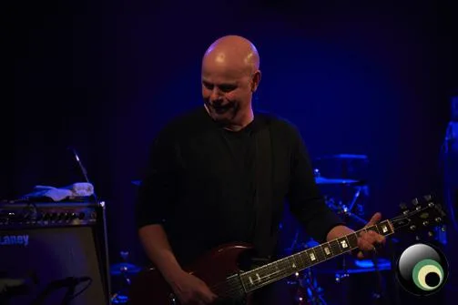 Chameleons Vox
