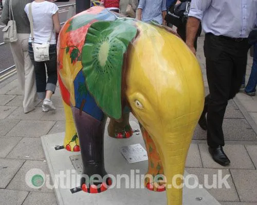 Go Elephants!