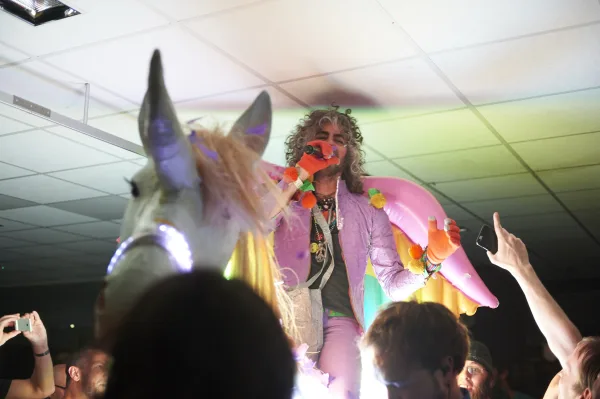 The Flaming Lips