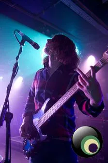 Pulled Apart by Horses