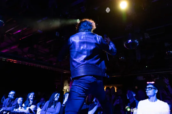 The Pigeon Detectives