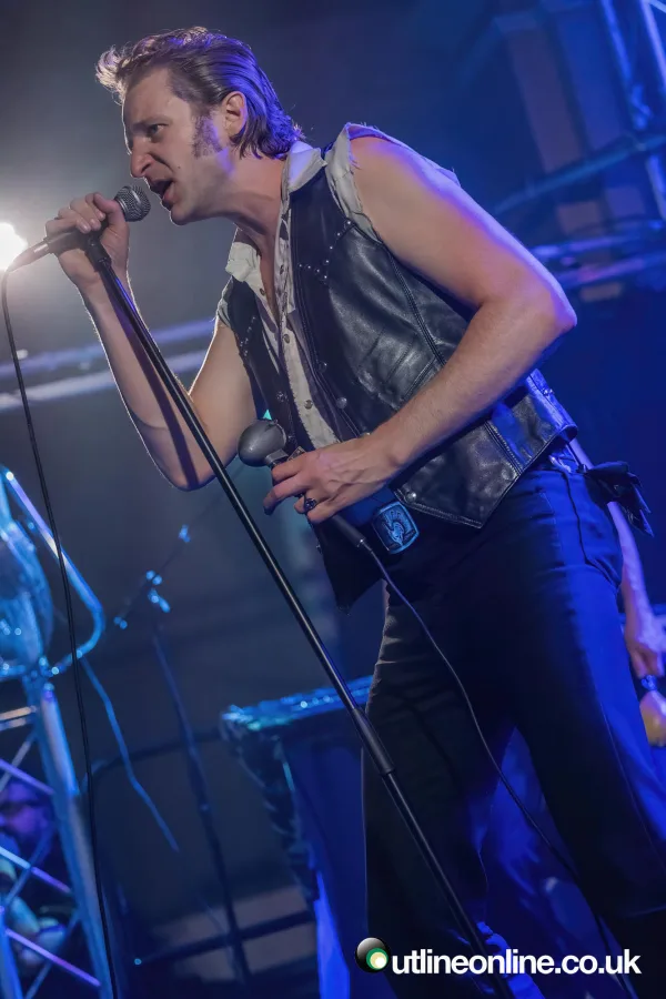 Daddy Long Legs