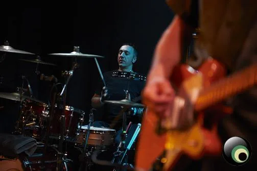 Chameleons Vox