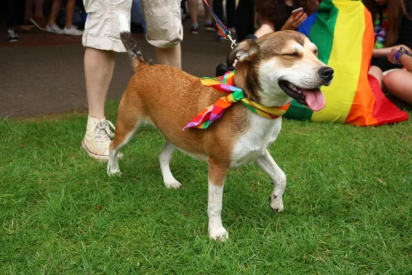 Pride 2016