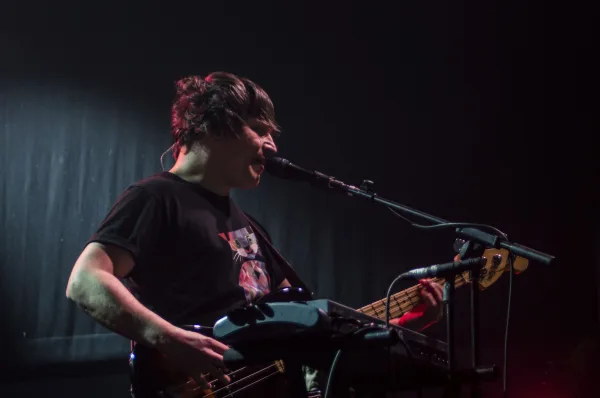 The Wombats