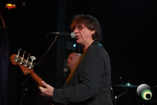 Chameleons Vox