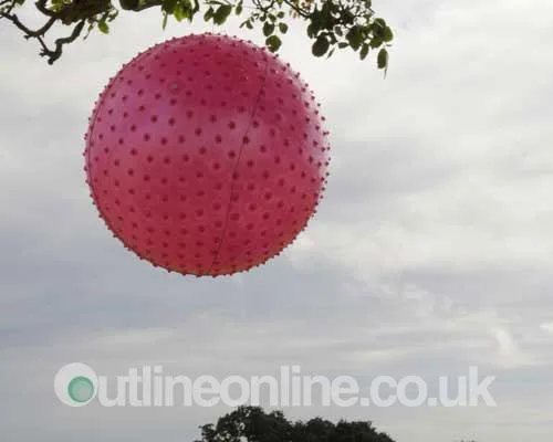 Jelly Festival