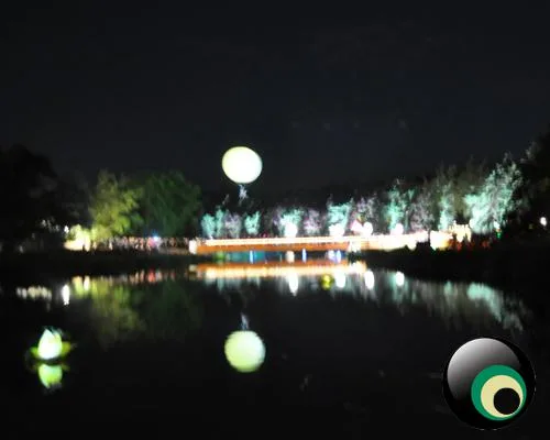 Latitude 2011