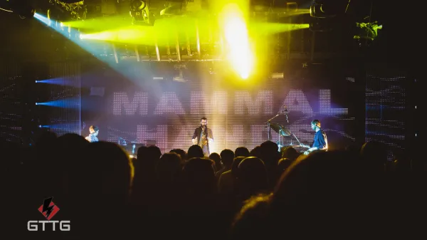 Mammal Hands