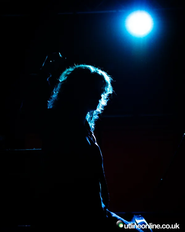 The Pigeon Detectives