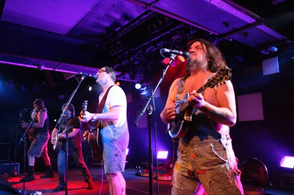 Hayseed Dixie