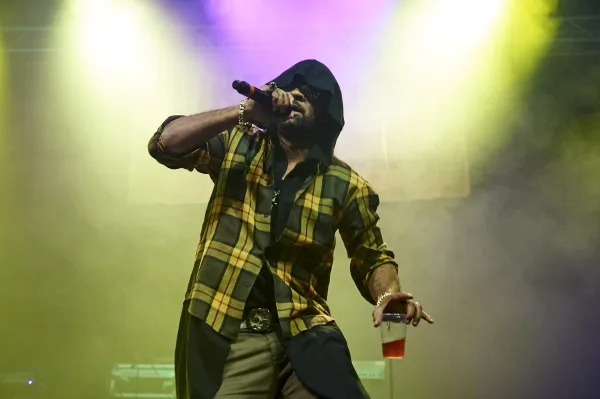 Shaggy
