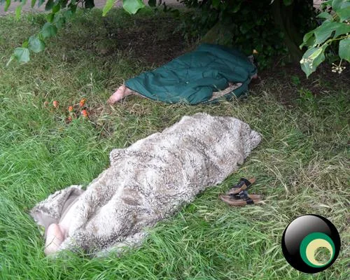 Latitude 2011
