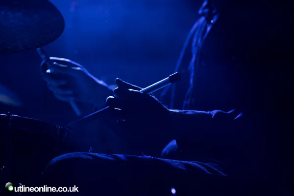 Mammal Hands