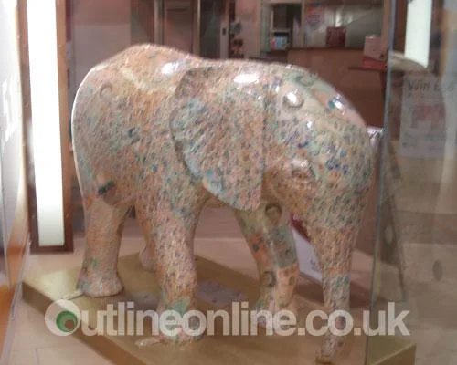 Go Elephants!