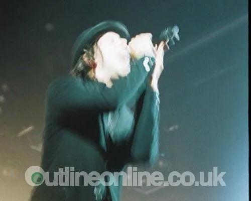 Maximo Park
