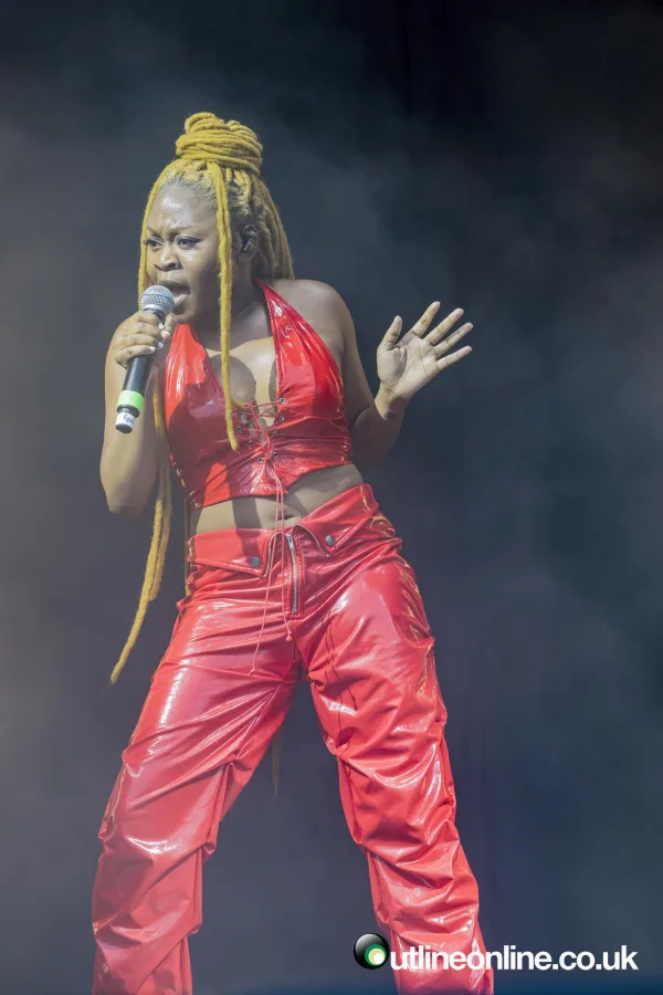 Wild Fields Festival 2024 Day 1